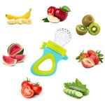 Baby Fruit Feeder Factory - Silicone Fresh Fruit Pacifier