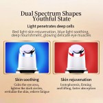 LED Screen Electric Massager Device for Anti-Aging Skin Tightening Face Lift Wrinkle Remover Red Blue Light Heating Hot Massage