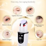 LED Screen Electric Massager Device for Anti-Aging Skin Tightening Face Lift Wrinkle Remover Red Blue Light Heating Hot Massage