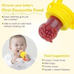 Baby Food Feeder Factory - Pacifier Fruit Nibbler Silicone