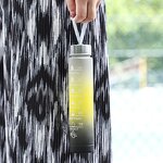 Plastic Water Bottle Factory - Gradient 300ml Stainless Lid