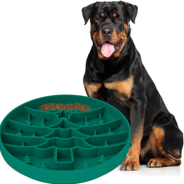 Pet Slow Eating Bowl Factory - Silicone Anti Choking Licking