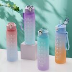 Cycling Water Bottle Factory - 750ml Frosted PC Infuser