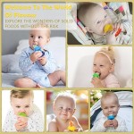 Baby Food Feeder Factory - Pacifier Fruit Nibbler Silicone