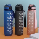 Water Bottle Factory - 1L Tritan Time Marker BPA Free