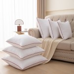 Throw Pillow Insert Factory - Feathers Down Square Decorative