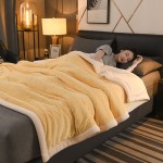 Coral Fleece Blanket Factory - Winter Warm Velvet Woven