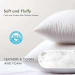 Throw Pillow Insert Factory - Feathers Down Square Decorative
