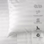 Egyptian Cotton Sheets Factory - 300 Thread Count Hotel Luxury