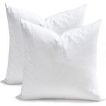 Throw Pillow Insert Factory - Feathers Down Square Decorative