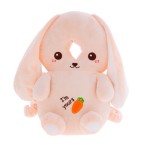 Baby Walking Pillow Manufacturer - Bear Design Breathable Pad