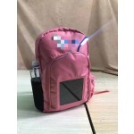 Solar Bag Manufacturer - Africa Lighting School Charger