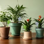 New Product Cactus Watering Pot Seepage Irrigation Houseplant Watering Pot Automatic Watering Pot Gardening Tool