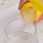 Hot-Selling New Practical Plastic Lemon Orange Manual Juicer Fruit Juicer Practical Home Kitchen Tool