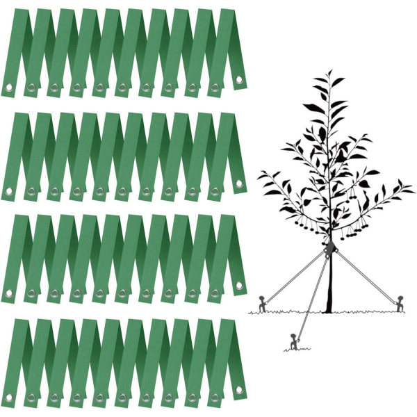 Nylon Tree Strap with Grommets Young Tree Support Hurricane Protection Newly Planted Saplings Household Miscellaneous Product