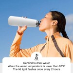 2023新理念产品不锈钢智能水瓶杀菌真空保温瓶温度显示杯