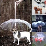 透明户外狗狗雨衣宠物小狗伞与链铅