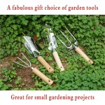 花园工具套件- 4件5件重型花园手工具套件，木制手柄