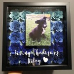 Shadow Box 4x6 Photo Frame with HD Plexiglass Deep Wood Memory Box Flower Display Case