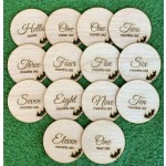 Baby Monthly Milestone Wood Card Pretty Funny Double-Sided Milestone Card Pregnancy Milestone Card