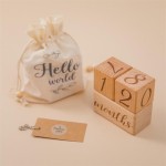 Custom Capture Baby's Growth Over Time Months Weeks Years Wooden Photo Prop Baby Milestone Blocks