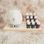 Custom Wooden Essential Oil Storage Organizer Display Stand