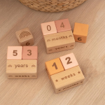 Custom Capture Baby's Growth Over Time Months Weeks Years Wooden Photo Prop Baby Milestone Blocks