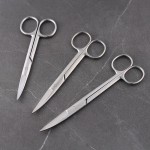 Stainless Steel Scissors Straight Elbow Tip Round Tip Surgical Excision Beauty Nose Hair Scissors Gauze Scissors