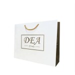 Custom Paper Shopping Bags Gift Paper Bags Shopping Bags