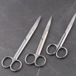Stainless Steel Scissors Straight Elbow Tip Round Tip Surgical Excision Beauty Nose Hair Scissors Gauze Scissors