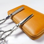 Professional Japanese S/S Hair Cutting Scissors Home Use Haircut Barber/Salon Thinning Shears Set with Comb and Box Silver