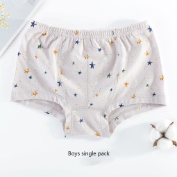 China Factory Eco-Friendly Children Underwear New 100% Pure Cotton Boys Print Children Cartoon Pattern