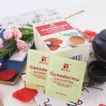 100%天然灵芝凉茶ISO认证补充免疫系统健康促进