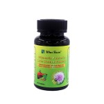 温斯顿水飞蓟素保肝促胆保肝片