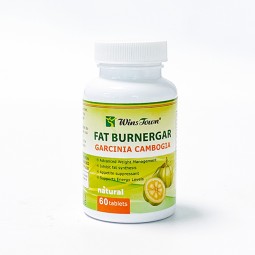 温斯顿藤黄果提取物绿茶提取物荷叶决明子食欲抑制藤黄果片