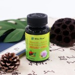 温斯顿水飞蓟素保肝促胆保肝片