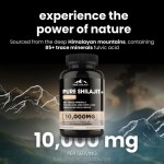 OEM/ODM Service Shilajit Supplement Capsules Dietary Supplement Pure Himalayan Shilajit from China Manufacturer