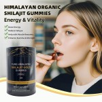OEM Wholesale Best Selling Custom Flavor Himalayan Shilajit Adult Gummies