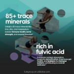 Hot Sale OEM Private Label Support Free Sample Herbal Supplement Custom Label Shilajit Capsules