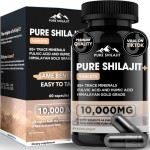 OEM Private Label Shilajit 100% Pure Natural Himalayan Organic Shilajit Capsules Resin Shilajit Resin
