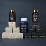 OEM Private Label Shilajit 100% Pure Natural Himalayan Organic Shilajit Capsules Resin Shilajit Resin