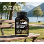 Wholesale Hot Sale OEM/ODM Free Sample Shilajit Pur Capsules Supplement Immune Shilajit Capsules for Men and Women