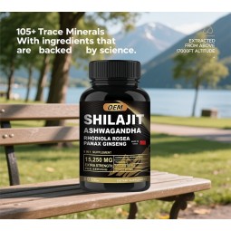 OEM/ODM Service Shilajit Supplement Capsules Dietary Supplement Pure Himalayan Shilajit from China Manufacturer