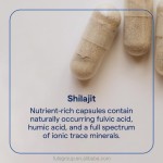 Best Selling Shilajit Pur Capsules | OEM Private Label Herbal Supplement - Free Sample Provided