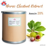 1kg Pure Horse Chestnut Extract Food Grade Powder UV Protection Plastic Jar Bottle Container Herbal Cosmetics Vacuum Drum Pack
