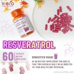 OEM/ODM/OBM Natural Pure Organic 99% Resveratrol Capsules Anti-aging Antioxidant Brain Focus Herbal Supplement Adult