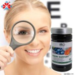 Aladdin Bilberry Lutein Eye Care Capsules 90 Count Rich in Antioxidants 25% Anthocyanins Support Eye and Brain Health Relieve Eye Strain