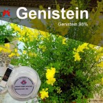 Food Grade Cytisine Herbal Extract 98% Purity Powder Fruit Multiple Packaging Options - Bottled