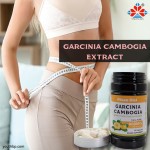 Adult Garcinia Cambogia Extract Capsules Effective Beauty Supplement Herbal Supplement Not for Pregnancy Not Suitable for Teen Children