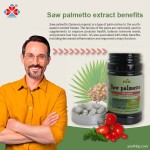 Herbal Supplement Adult Male Prostate Health Saw Palmetto Extract Lycopene Hair Growth Plant-Based Capsules